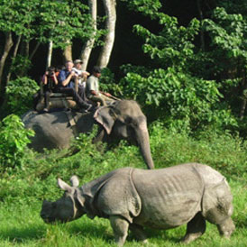 Bardia National Park Tour