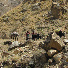 Dolpo Trekking