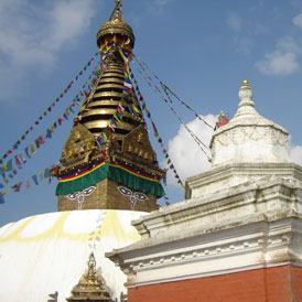 Floral Kathmandu Tour