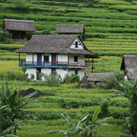 Lumba Sumba Trekking 