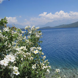 Rara Trekking